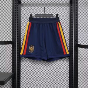 Espagne Maillot Domicile Version Joueur