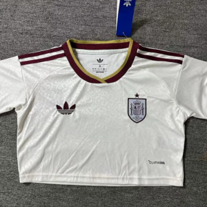 Espagne Maillot Exterieur