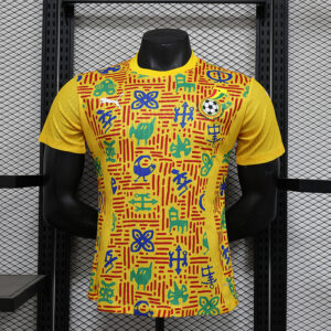 Ghana Maillot Domicile Version Joueur