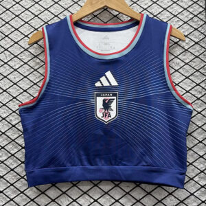 Japon Maillot Domicile