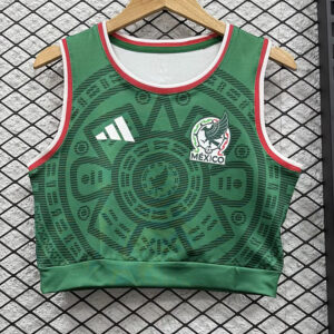 Mexique Maillot Domicile