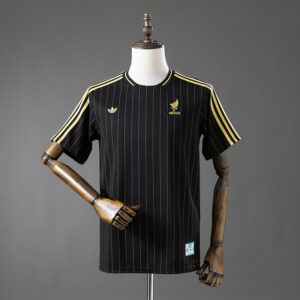 Mexique Maillot Domicile