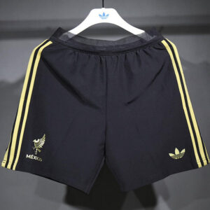 Mexique Maillot Special Version Joueur