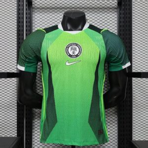 Nigeria Maillot Domicile Version Joueur