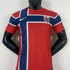 Norvege Maillot Domicile Version Joueur