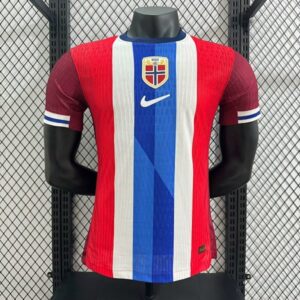 Norvege Maillot Domicile Version Joueur