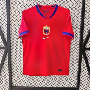 Norvege Maillot Domicile