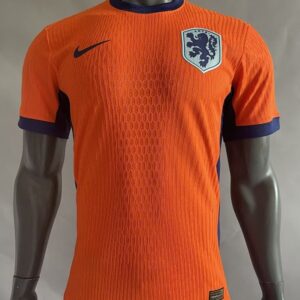 Pays-Bas Maillot Domicile Version Joueur