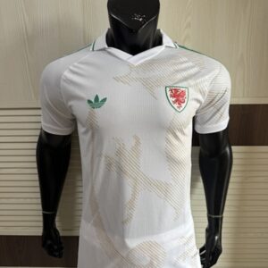Pays de Galles Maillot Exterieur Version Joueur