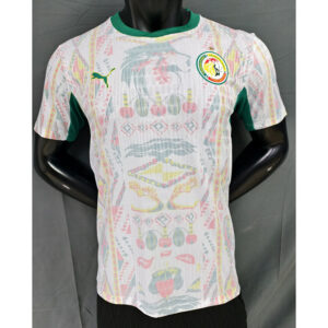 Senegal Maillot Domicile Version Joueur