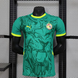 Senegal Maillot Domicile Version Joueur
