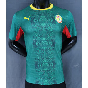 Senegal Maillot Exterieur Version Joueur