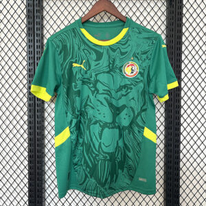 Senegal Maillot Exterieur