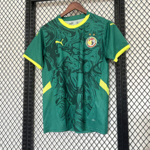 Senegal Maillot Exterieur